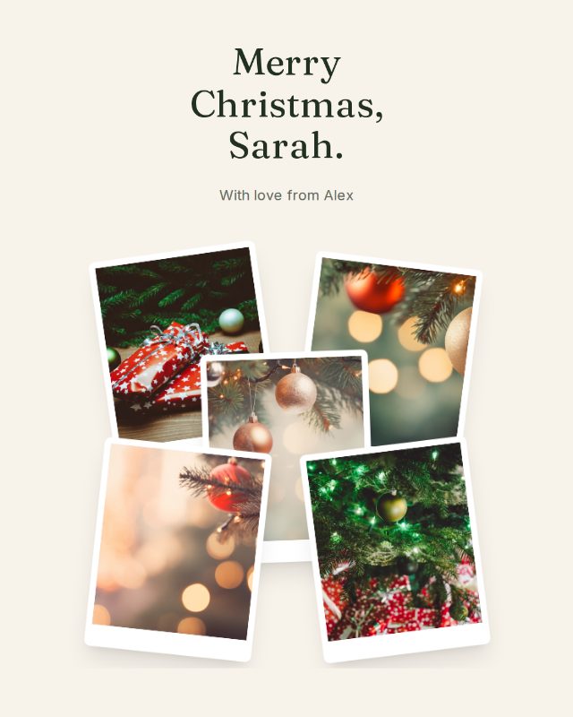 Winter Berries christmas design